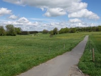 Strauch von Tiefental