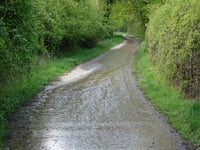 Auf der Trift da Berzbuir
