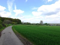Auf der Trift da Berzbuir