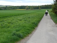 Im Rottfeld von Derichsweiler