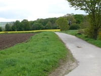 Im Rottfeld von Derichsweiler