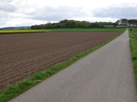 Petershof von Schlicher Strasse