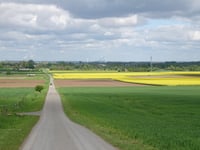 Petershof von Schlicher Strasse