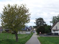 Münsterweg from Schlich