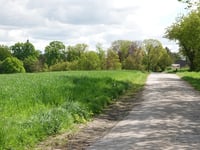 Kreuzberg von Westerloer Allee