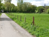 Oligsdriesch von Jüngersdorf