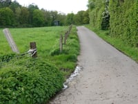Oligsdriesch von Jüngersdorf