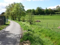 Hausbuschgasse via Maarweg