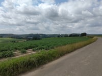 Daalhemerweg from Valkenburg