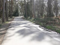 Triffelsberg von Gressenich über Schevenhütter Strasse