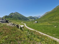 Col de Sarenne
