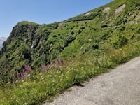 Col de Sarenne