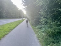 Witomino über Małokacka
