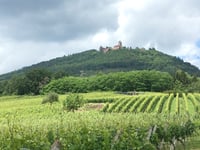 Château du Haut-Kœnigsbourg von Bergheim