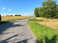 Bogesø über Bøgesøvej