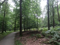 Tafelberg von De Steeg