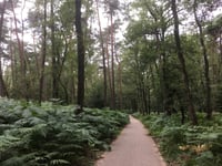 Tafelberg von De Steeg