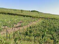 Husseren les Châteaux z Eguisheim przez Route du Vin