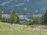 Ober Solberg von Luttenbach-Près-Munster