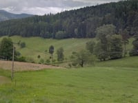 Col du Sattel z Mulbach-sur-Munster