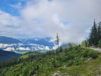 Tauplitzalm von Bad Mitterndorf