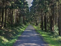 Stampoumont von Col de la Salcée