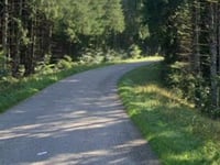 Col de la Salcée z Bourg-Bruche