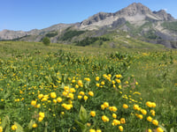 Col des Champs von Colmars