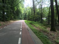 Delenseweg von Hoenderloo