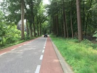 Delenseweg von Hoenderloo
