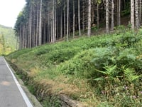 Colma di Sormano über Brazzova