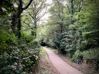 Côte du Moulon da Bures sur Yvette