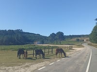 Alto da Groba / Alto de Mougás von Baiona