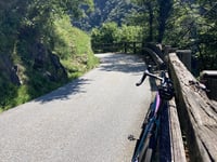 Cicogna von Santino