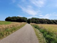 Hoge Berg via Schansweg