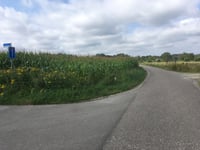 Groenouwe depuis Loenen