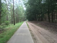Jutberg über Plaggenweg