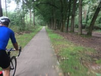 Jutberg über Weg langs de Heesch