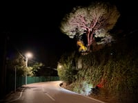 La Croix des Gardes von Cannes