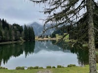 Pas de Morgins da Monthey via Route Forestière