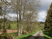 Scheedejans depuis Weser