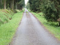 Pilgerweg über Steinbachtal