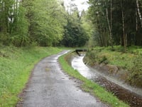Zwölf Apostel von Steinbach