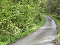 Lenkte Schlag von Steinbach