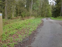 Lenkte Schlag von Steinbach