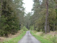 Lenkte Schlag von Petergensfeld