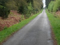 Lenkte Schlag von Petergensfeld