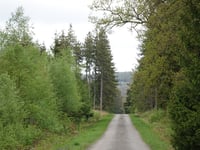 Lenkte Schlag von Petergensfeld