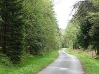 Petergensfeld über Wesertalstrasse