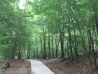 Boerenallee da Rozendaal